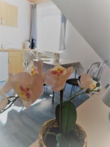 Fotografie z fotogalerie ubytování Urlaub beim Schmied v destinaci Kühlungsborn