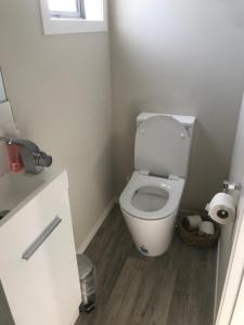 bagno con servizi igienici e cesto di carta igienica di DELBROOK POINT COZY-STUDIO a Hamilton