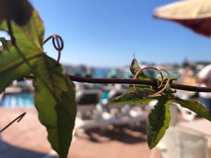 Fotografie z fotogalerie ubytování Hotel Astoria Park v destinaci Lloret de Mar