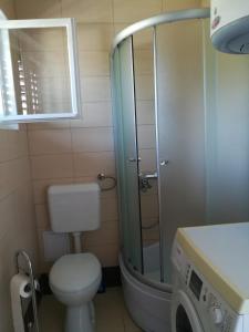 un bagno con wc e doccia in vetro di Apartment Pehi a Supetar (San Pietro di Brazza) Altre 5 foto
