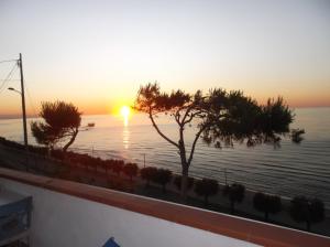 - un coucher de soleil sur l'eau avec des arbres sur le balcon dans l'établissement Affittacamere Murgenere, à Vico del Gargano