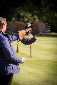 a woman is feeding a bird with its wings at The Gleneagles Hotel in Auchterarder