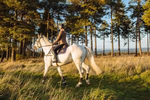 a woman riding a white horse in a field at The Gleneagles Hotel in Auchterarder