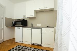 Dapur atau dapur kecil di L&P Appartement Klagenfurt