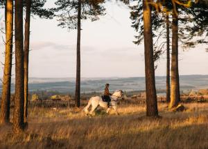 a person riding a white horse in a field at The Gleneagles Hotel in Auchterarder
