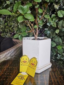 Fotografie z fotogalerie ubytování Prescott Hotel Bukit Bintang v Kuala Lumpur