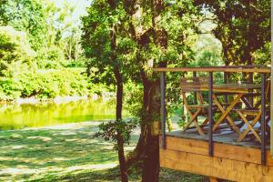 Ogród w obiekcie Apartamenty wśród drzew River Park