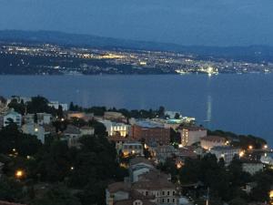 una vista notturna di una città e dell'acqua di Vacation Home Lucija a (( Slatina ))