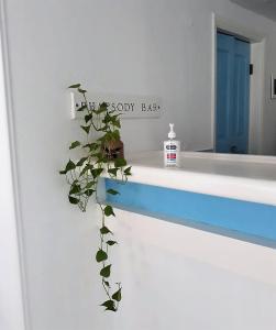 Зображення з фотогалереї помешкання Stratos Hotel у місті Піфагорея