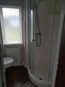 a bathroom with a shower and a toilet at Sea views, fabulous modern lodge in Port Seton