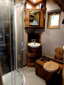 een badkamer met een toilet, een wastafel en een douche bij La Cabane in Connigis