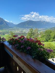 una caja de flores en un balcón con montañas en el fondo en Ferienwohnung Haus Gomig en Dölsach