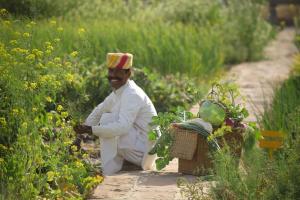 SUJÁN The Serai Jaisalmerの宿泊客