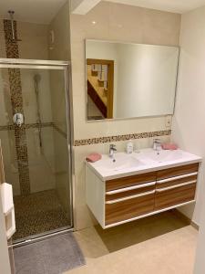 Un baño con lavabo y ducha con espejo. en Appartement Chez Agnes, en Bruselas 24 fotos más