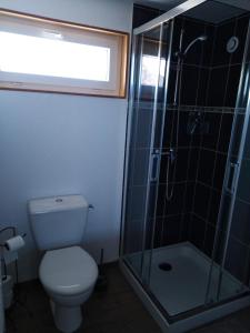 a bathroom with a toilet and a glass shower at Le Breuil in Piney