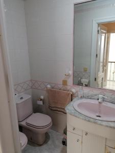 uma casa de banho com um WC, um lavatório e um espelho. em Atico em Calamonte