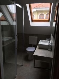 a bathroom with a toilet and a sink and a window at Cyrano Vendégház in Vonyarcvashegy