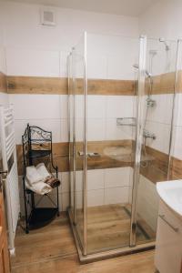 a glass shower in a bathroom with a chair at Apartmán v přírodě pro 4 osoby in Jihlava