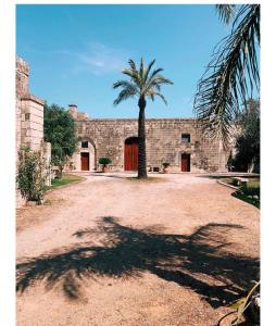 a palm tree in front of a stone building at Masseria Montanari in Carpignano Salentino