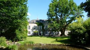 a large white house with a tree and a pond at Domaine Saint-Hilaire in Meung-sur-Loire