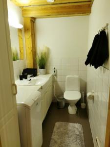 Un baño con un inodoro blanco y un lavabo. en Villa Otsola in Ruka, en Ruka 26 fotos más