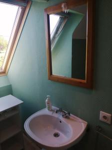 W łazience znajduje się umywalka i lustro. w obiekcie Happy Together w mieście Francorchamps