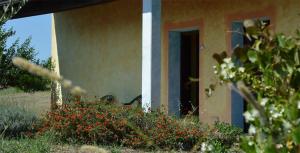 Zahrada ubytování Agriturismo Sa Murta in Sennariolo-Oristano