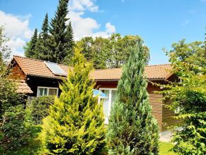 Ein Garten an der Unterkunft Ferienhaus Siesta Hahnenklee mit großem Grundstück