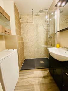 een kleine badkamer met een wastafel en een douche bij Grand appartement plein centre proche bus et gare in Valence