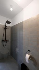a bathroom with a shower and a toilet paper roll at CHARMANTES APARTMENT im Herzen von Linz in Linz