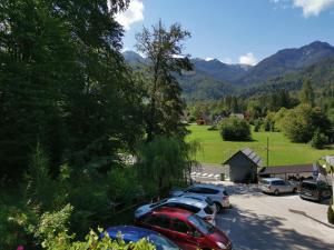 a group of cars parked in a parking lot at Accommodation Destina, LAKE BOHINJ in Bohinj