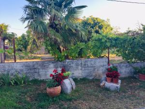 Ein Garten an der Unterkunft Holiday Home Casa Bianca