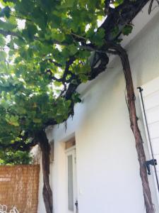 Das Gebäude in dem sich das Ferienhaus befindet