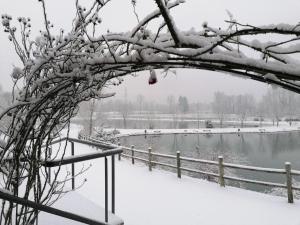 Az. Agr. Sponga Giancarlo during the winter