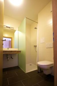 W łazience znajduje się prysznic, toaleta i umywalka. w obiekcie Dorfgasthof Berlakovich w mieście Weppersdorf