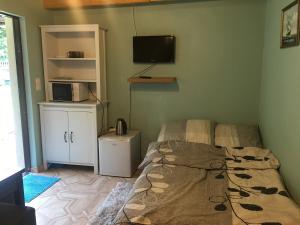 1 dormitorio con 1 cama y TV en la pared en Herkules Pokoje Noclegi Pieskowa Skała Ojców, en Pieskowa Skała