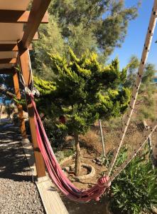 a hammock in a garden with a tree at Thealassa in Kalliópi