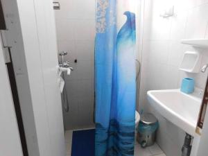 伊奥斯乔拉Yacht Front Studio - No 5的带淋浴的浴室，配有蓝色浴帘