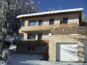 a house with a garage door in the snow at Transylvania Villa & Spa in Gosau