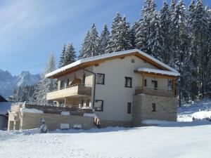 une maison dans la neige avec des arbres enneigés dans l'établissement Transylvania Villa & Spa, à Gosau