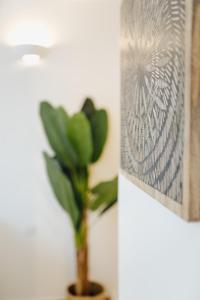 Bilde i galleriet til Break for two i Agropoli