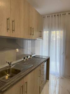 a kitchen with a sink and a counter top at JUEL APARTMENTS in Pefkochori