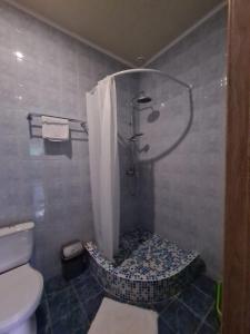 a bathroom with a shower with a toilet and a sink at ACAPULCO in Pivdenne