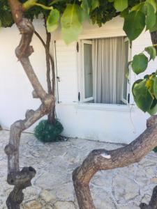 Galeriebild der Unterkunft Holiday Home Casa Bianca in Sukošan