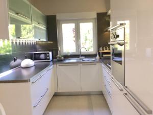 Kuchyňa alebo kuchynka v ubytovaní Holiday House Lilija