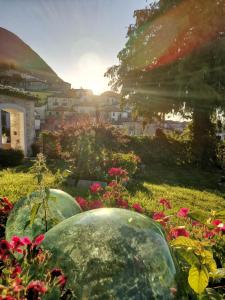 Il Palazzetto dei Briganti في Guardiaregia: حديقة بها زهور وردية وجارات زجاجية