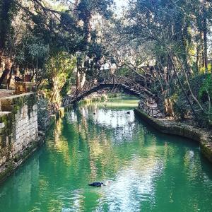 Foto dalla galleria di Rodini House a Città di Rodi