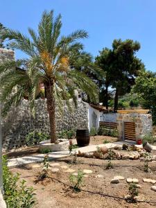 a garden with a palm tree and a stone wall at Naiades Residence in Pigi