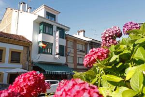 a group of pink flowers in front of a building at Hotel Las Vegas in Colunga