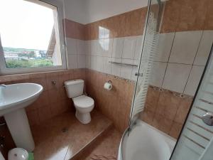 uma casa de banho com um WC, um lavatório e um chuveiro em Pensiunea Alessia em Piatra Neamţ